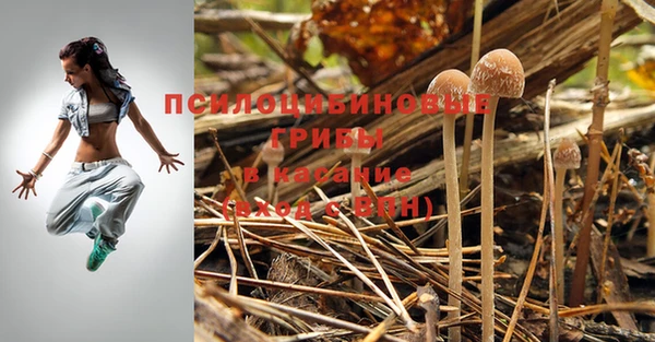 гашишное масло Киреевск