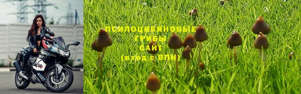 шишки Касимов