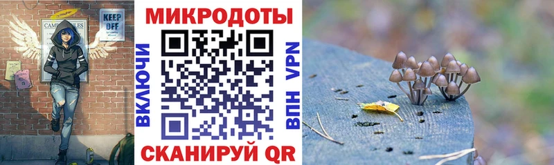 Купить где  Берёзовский  Псилоцибиновые грибы мухоморы 
